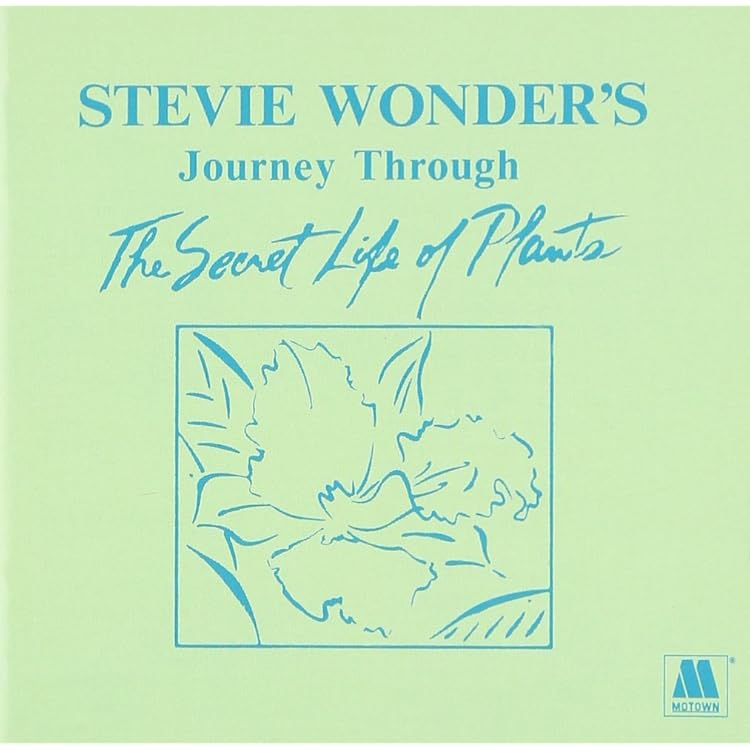 Amazon.co.jp: ミュージックエイリアム - スティービー・ワンダー